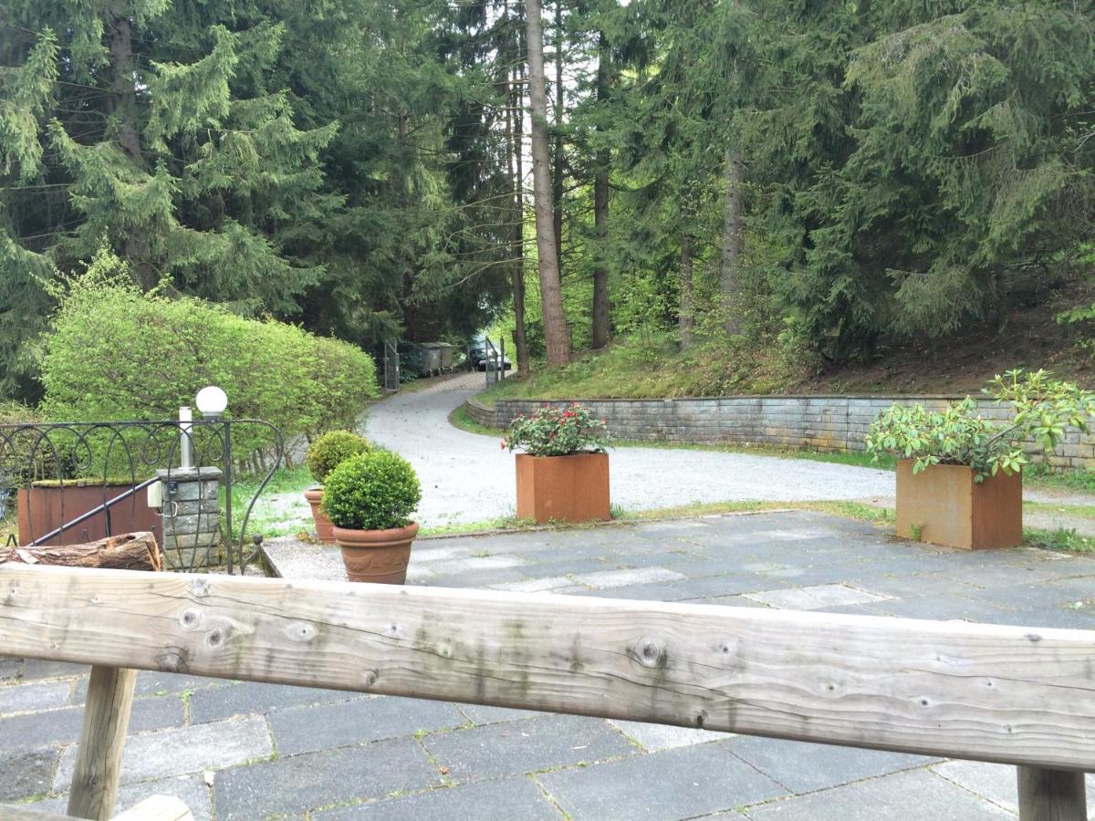 Ferienhaus Hirtenwiese Willingen  Exterior photo
